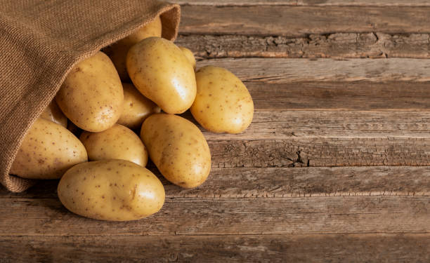 Best Oil Temp for French Fries: The Crispiness Guide 6 Best Oil Temp for French Fries: The Crispiness Guide