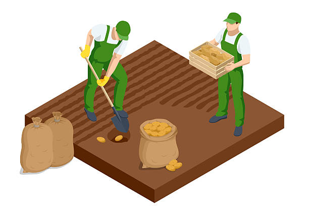 Why Did My Potato Soup Turn Pink? The Ultimate Fix 3 Why Did My Potato Soup Turn Pink? The Ultimate Fix