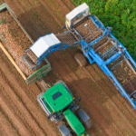 How to Grate Potatoes Without Knuckles: A Blood-Free Guide