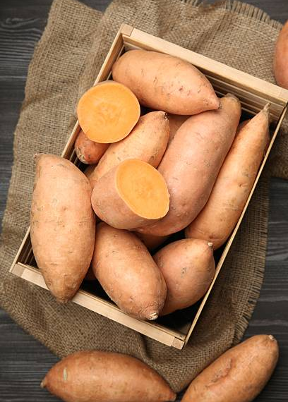 Potato Ricer vs Masher for Fluffiness: The Ultimate Texture Guide